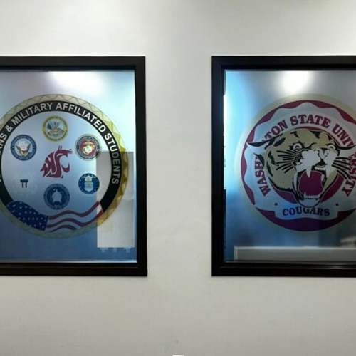 Window Graphics